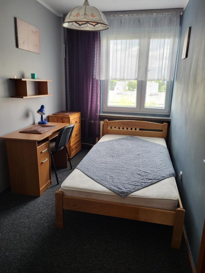Apartament Sosnowy Z Parkingiem Stary Toruń Zewnętrze zdjęcie
